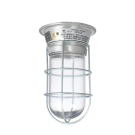 Canopy Hood Lights - Canopy Hood Light Fixture with Clear Coated Tempered Glass Globe and Wire Guard  